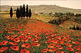 Unknown Artist Hills of Tuscany I painting
